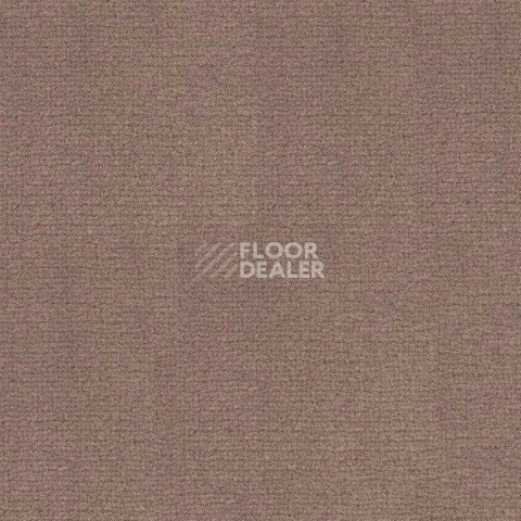 Ковролин Radici Abetone Tortora 4972 фото 1 | FLOORDEALER